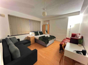 ENTIRE Flat in Central London KING'S CROSS